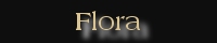 Gallery - Flora